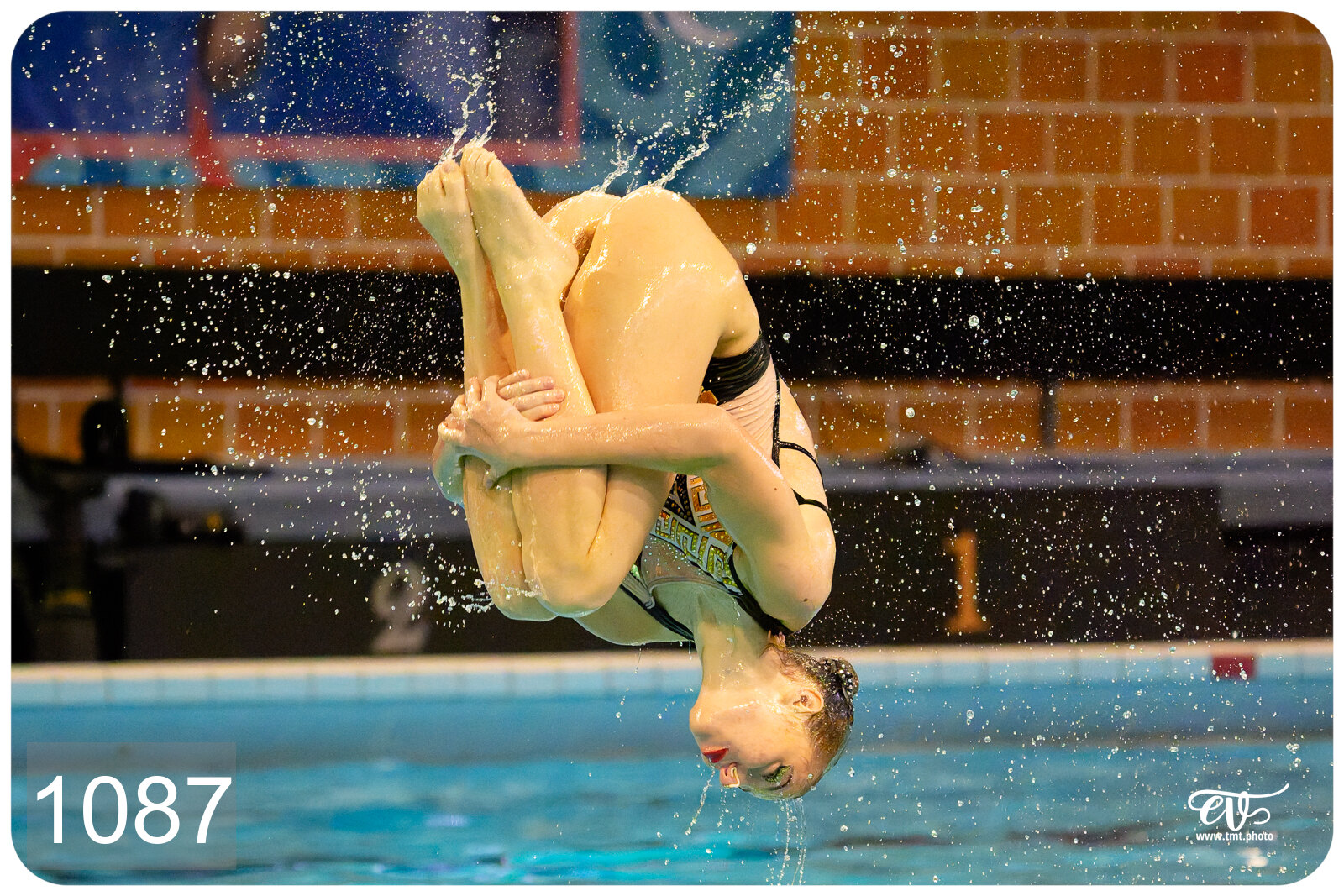 CHAMPIONNAT DE FRANCE DE NATATiON ARTISTIQUE N1 & ELITE 2026